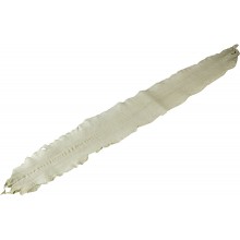 Genuine eel skin EEL-SINGLESKIN Smoke