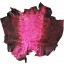 Genuine frog / toad skin FROGSK01 Fuxia