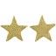 Genuine stingray leather earrings STER12SA-L Beige