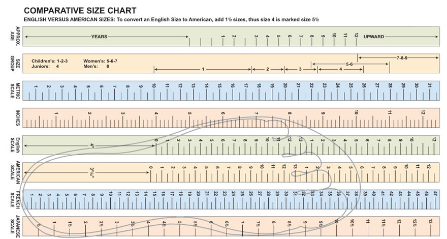 Shoes size chart